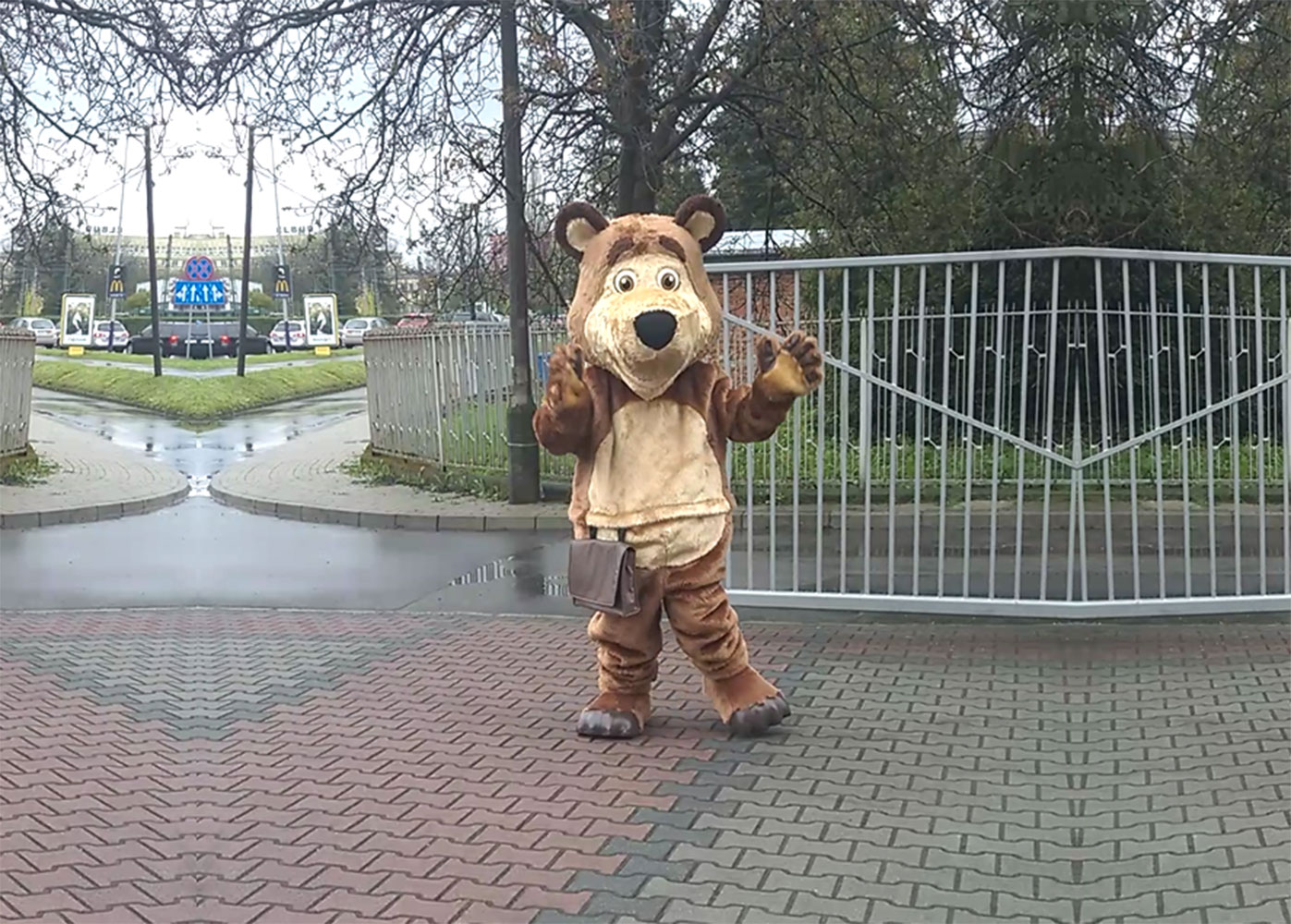 Kostiumy reklamowe Elabika. 5 kluczowych zalet, o których nawet nie pomyślałeś. Miś